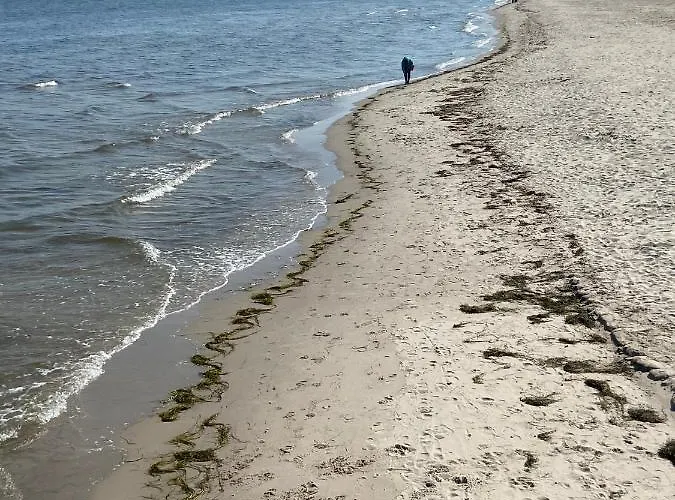 Jasminowa 17 그디니아